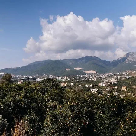 Yildiz * Alanya